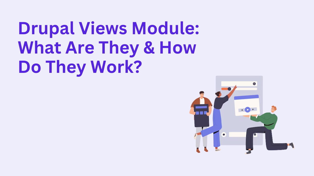 Drupal Views Module: What Are They & How Do They Work?