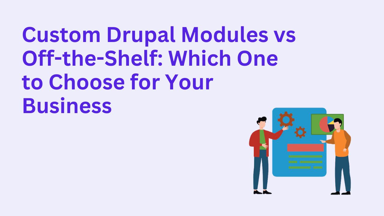 Custom Drupal Modules vs Off-the-Shelf: Which One to Choose for Your Business