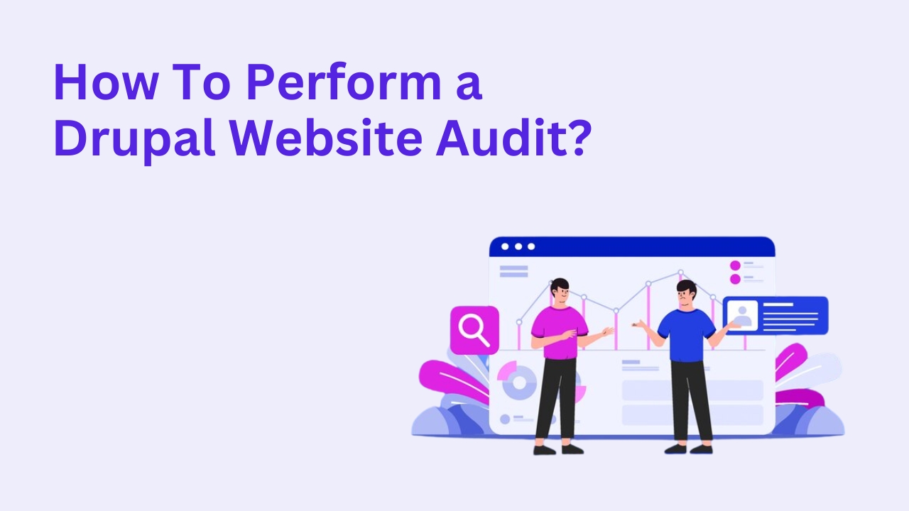 How To Perform a Drupal Website Audit?