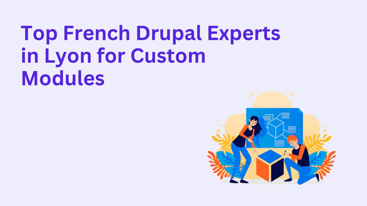 Top French Drupal Experts in Lyon for Custom Modules