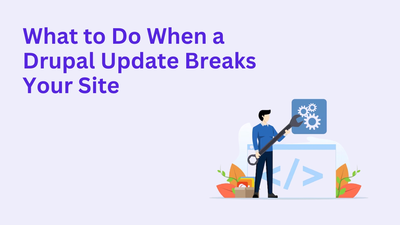 What to Do When a Drupal Update Breaks Your Site
