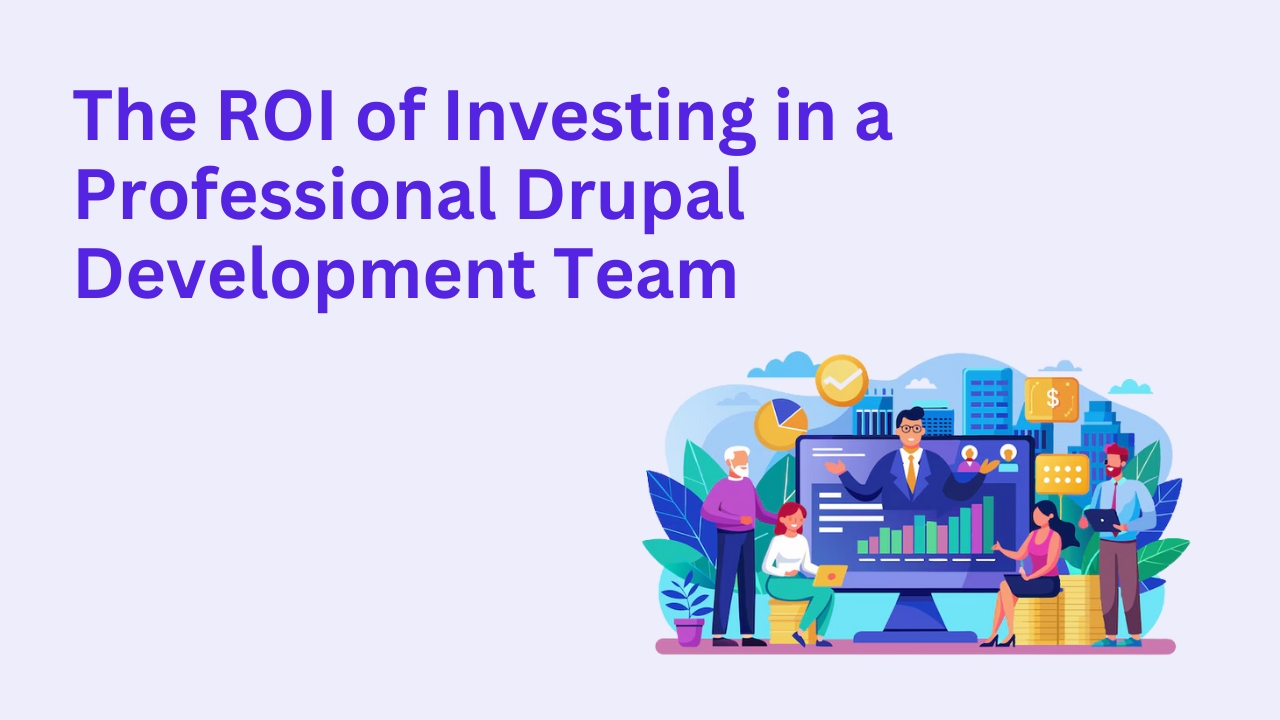 The ROI of Investing in a Professional Drupal Development Team