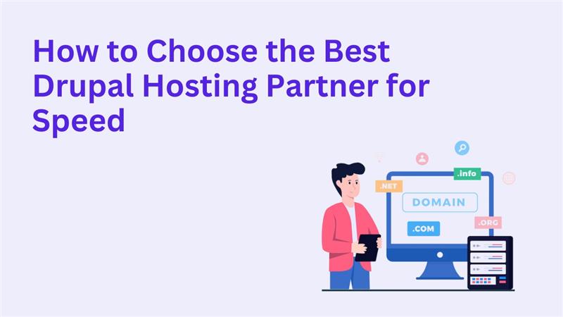How to Choose the Best Drupal Hosting Partner for Speed