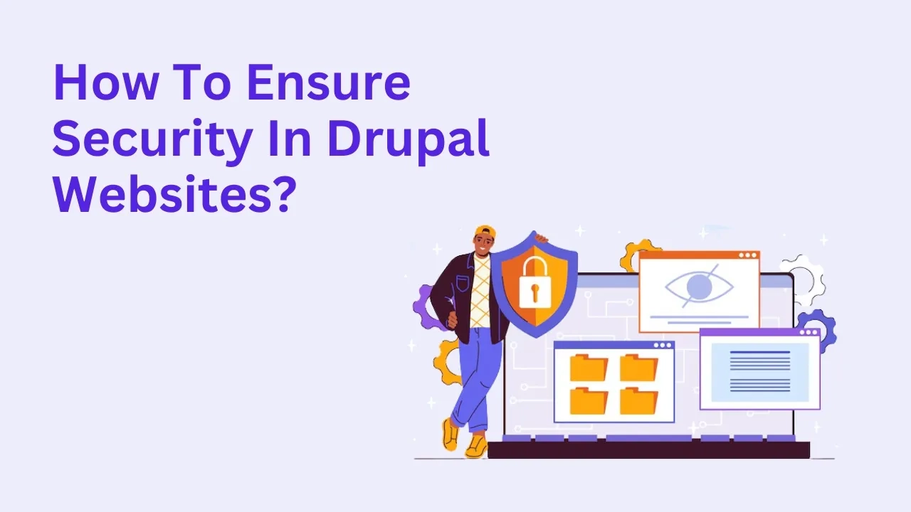 How to ensure security in drupal website