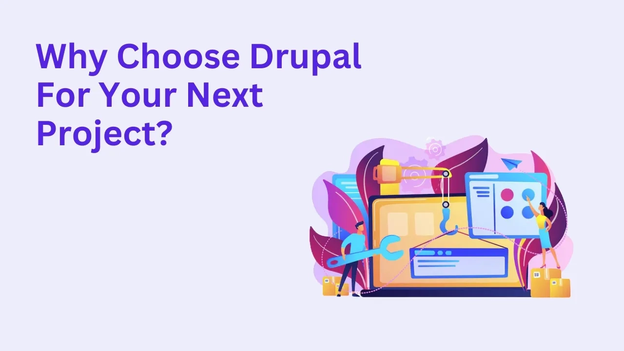 why choose drupal for your next project