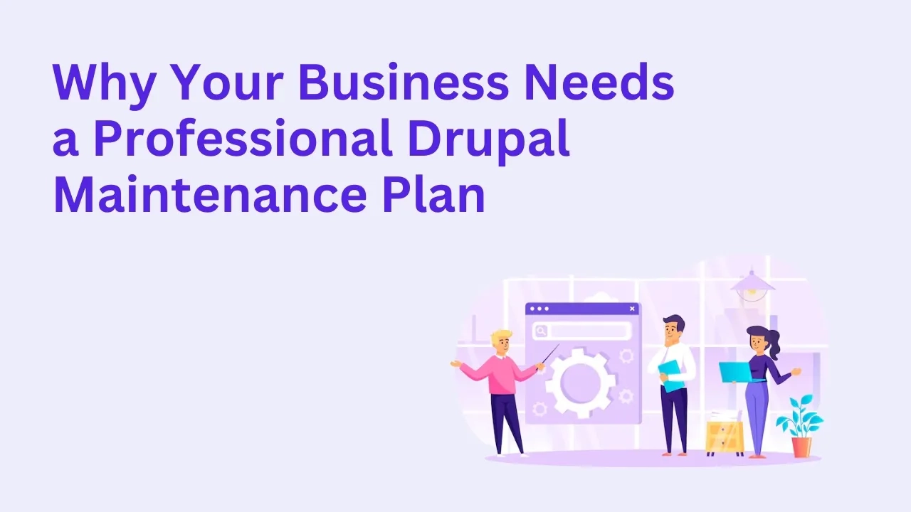 Why Your Business Needs a Professional Drupal Maintenance Plan
